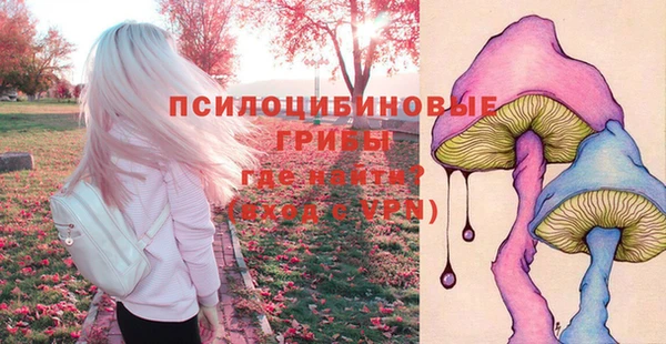 мяу мяу мука Приозерск