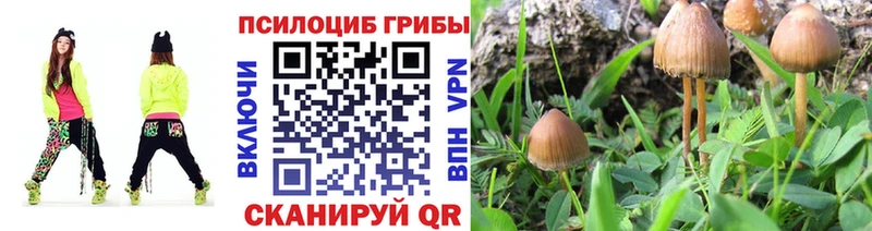 Псилоцибиновые грибы Psilocybine cubensis  купить наркотики сайты  Аркадак 