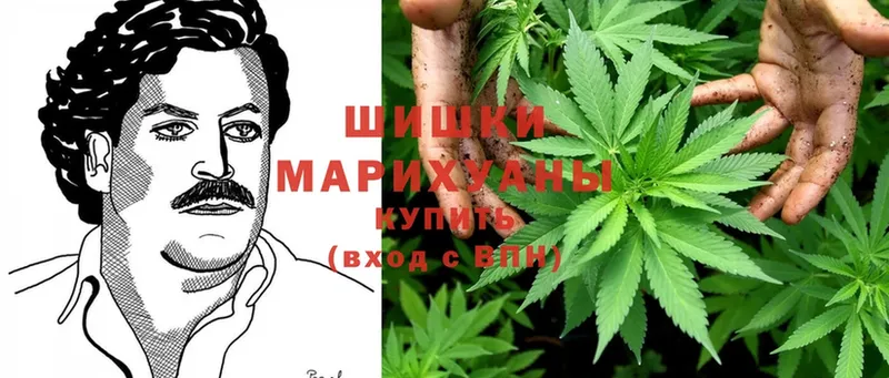 купить наркотик  Аркадак  Бошки марихуана Ganja 